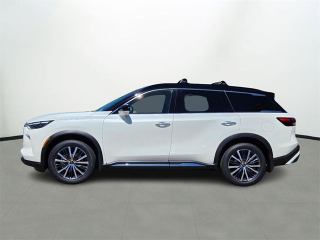 2024 INFINITI QX60 Autograph