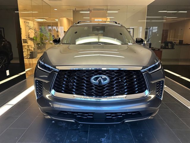 2024 INFINITI QX60 Autograph