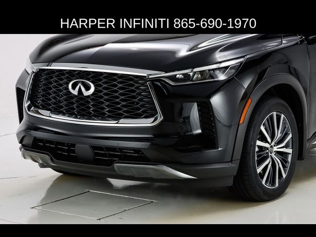 2024 INFINITI QX60 Autograph