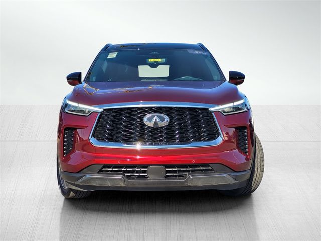 2024 INFINITI QX60 Autograph