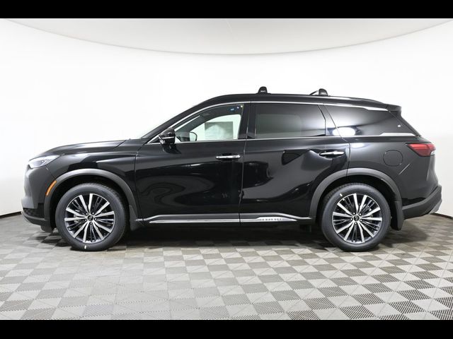 2024 INFINITI QX60 Autograph