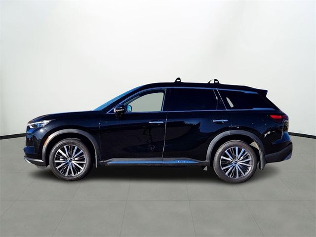 2024 INFINITI QX60 Autograph