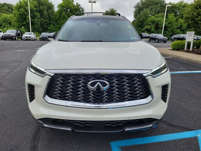 2024 INFINITI QX60 Autograph