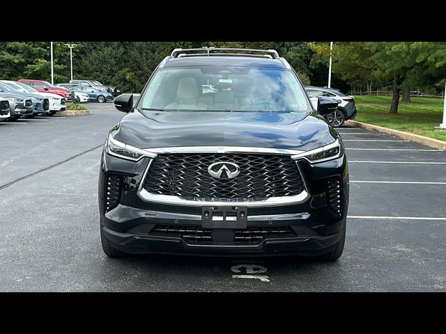 2024 INFINITI QX60 Luxe