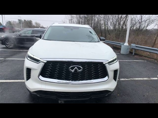 2024 INFINITI QX60 Luxe