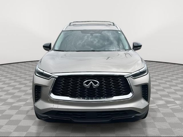 2024 INFINITI QX60 Luxe