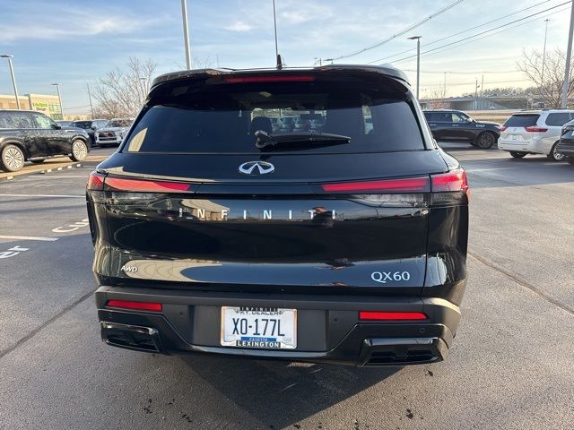 2024 INFINITI QX60 Luxe