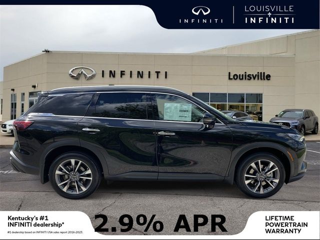 2024 INFINITI QX60 Luxe