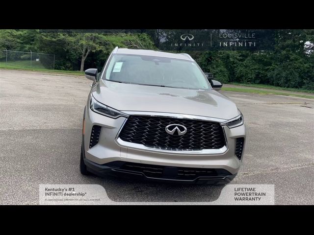 2024 INFINITI QX60 Luxe