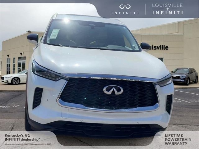 2024 INFINITI QX60 Luxe