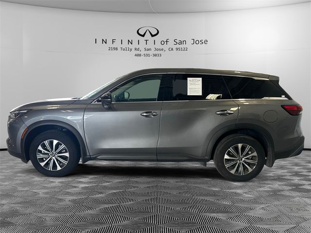 2024 INFINITI QX60 Pure