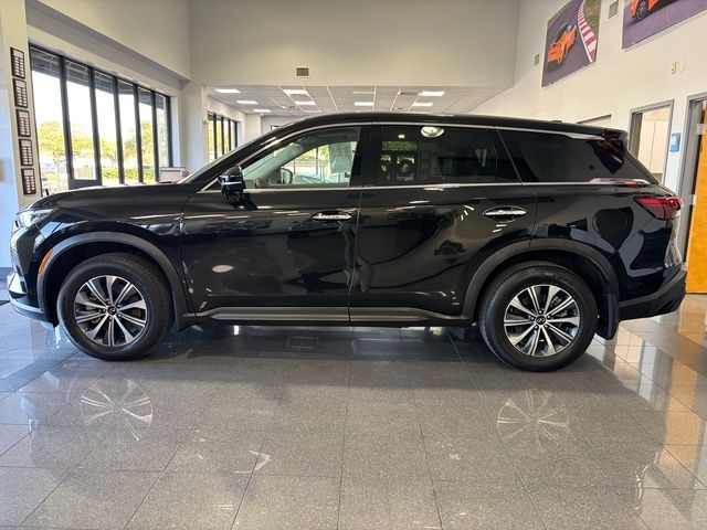 2024 INFINITI QX60 Pure