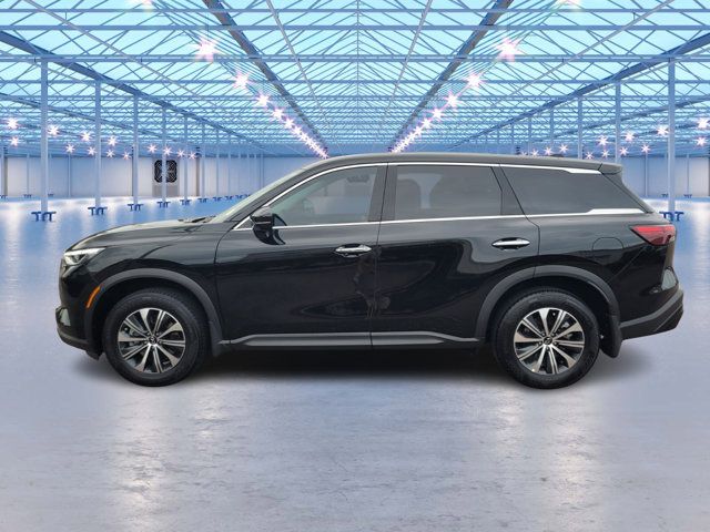 2024 INFINITI QX60 Pure