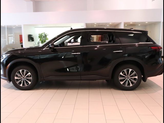 2024 INFINITI QX60 Pure