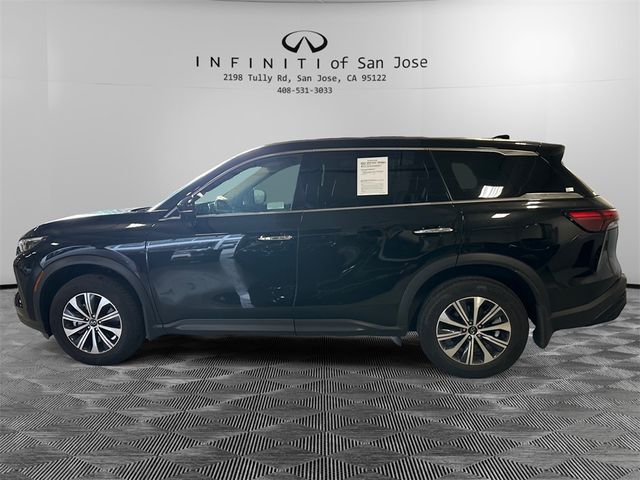 2024 INFINITI QX60 Pure