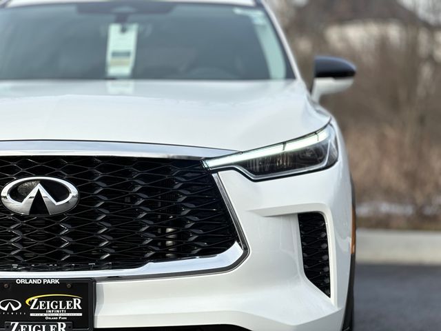 2024 INFINITI QX60 Pure