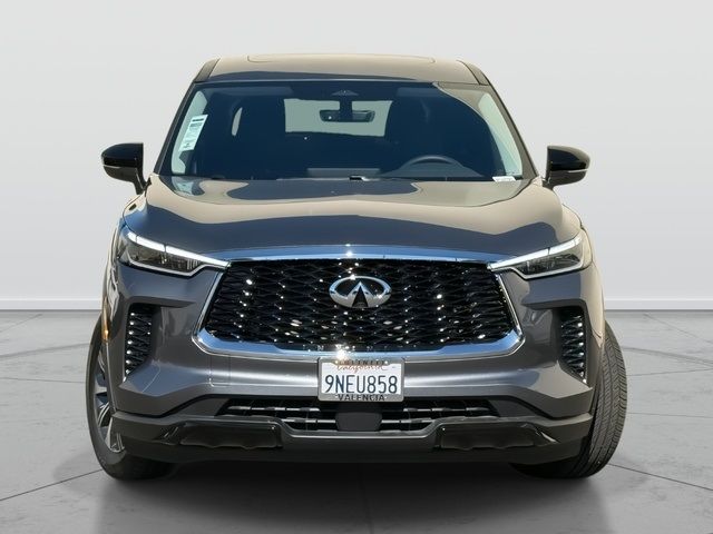 2024 INFINITI QX60 Pure