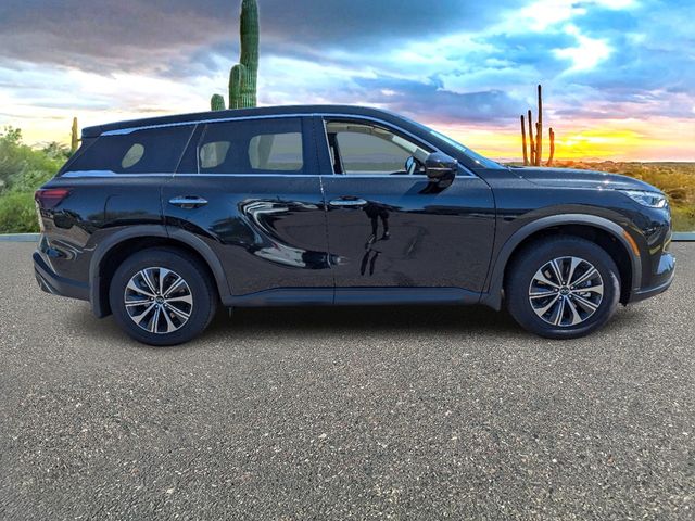 2024 INFINITI QX60 Pure