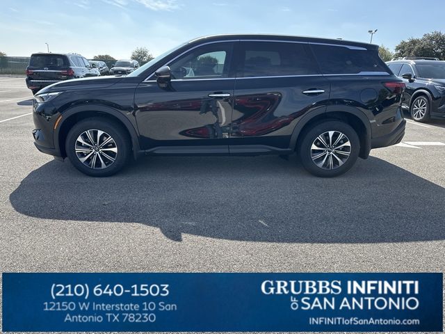 2024 INFINITI QX60 Pure