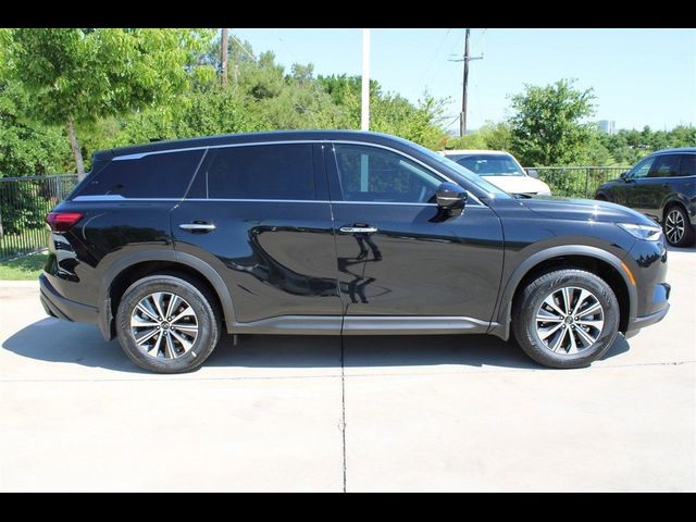 2024 INFINITI QX60 Pure