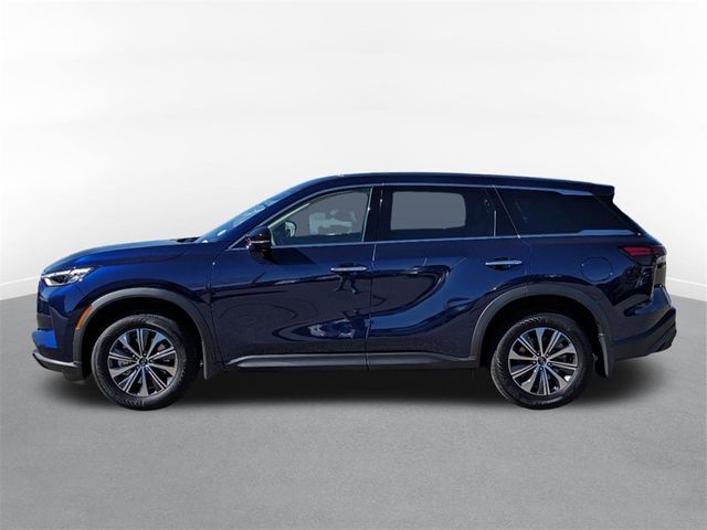 2024 INFINITI QX60 Pure