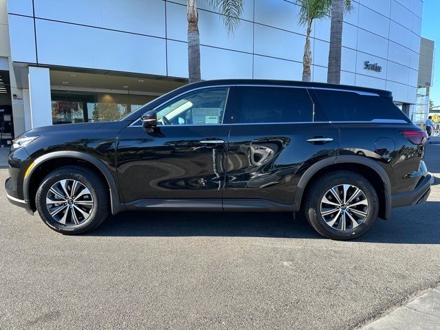 2024 INFINITI QX60 Pure