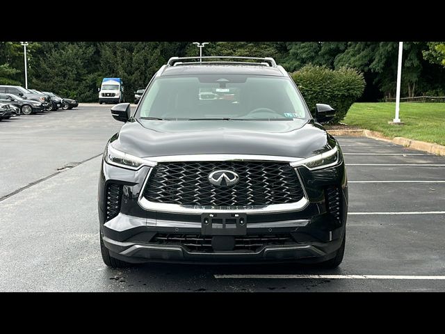 2024 INFINITI QX60 Sensory