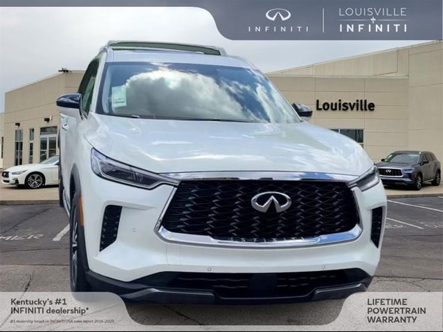 2024 INFINITI QX60 Sensory