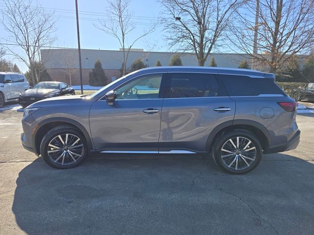 2024 INFINITI QX60 Sensory