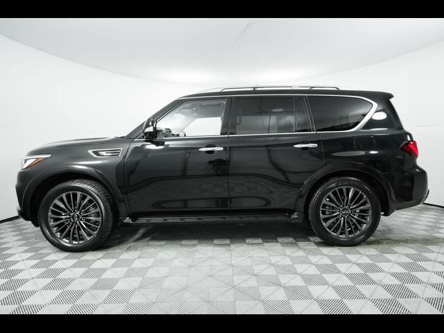 2024 INFINITI QX80 Premium Select