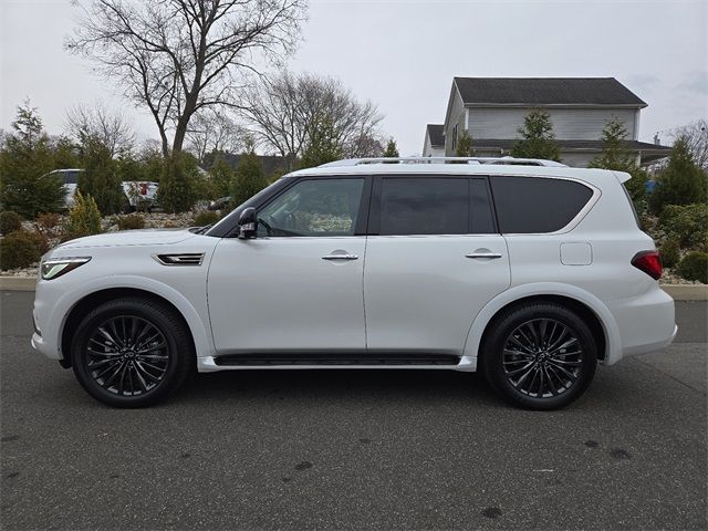 2024 INFINITI QX80 Premium Select