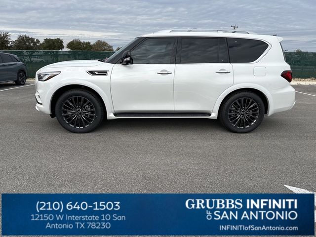 2024 INFINITI QX80 Sensory