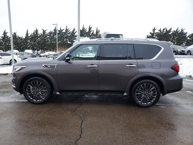 2024 INFINITI QX80 Sensory