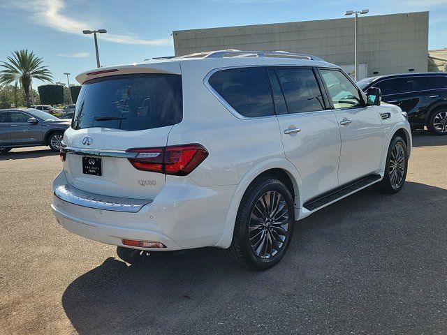 2024 INFINITI QX80 Sensory