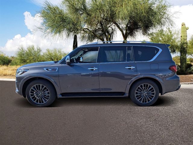 2024 INFINITI QX80 Sensory