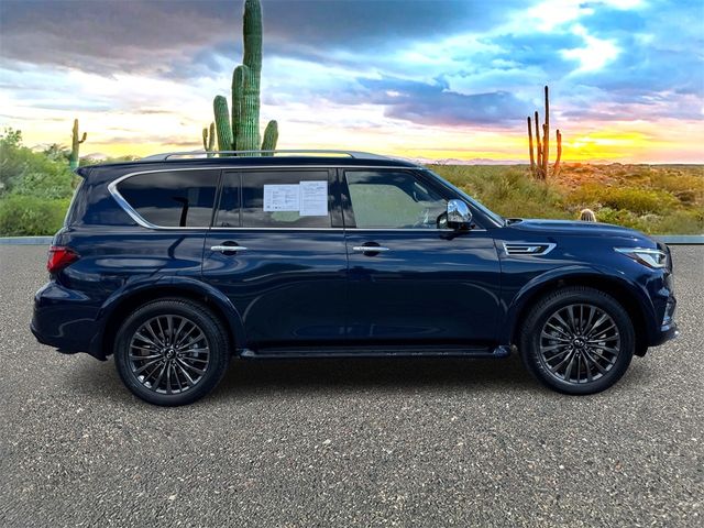 2024 INFINITI QX80 Sensory