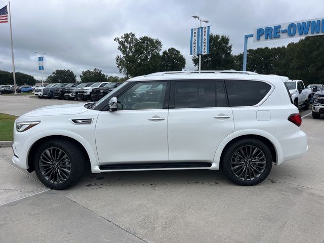 2024 INFINITI QX80 Sensory