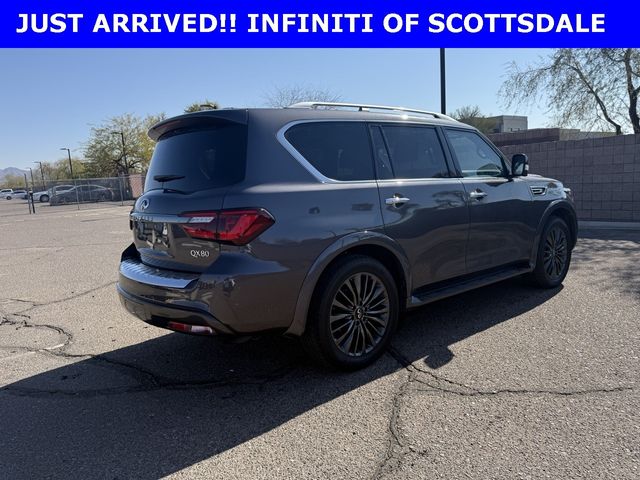 2024 INFINITI QX80 Sensory