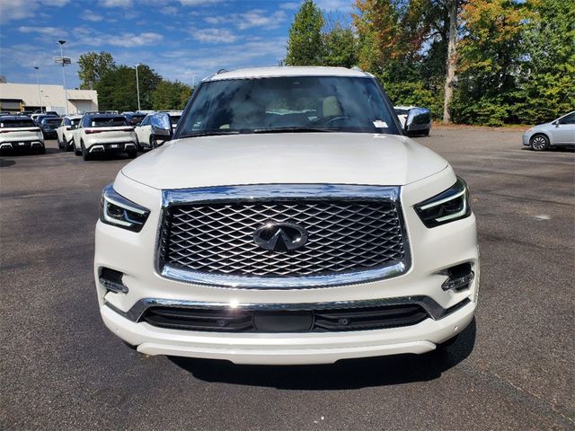 2024 INFINITI QX80 Sensory