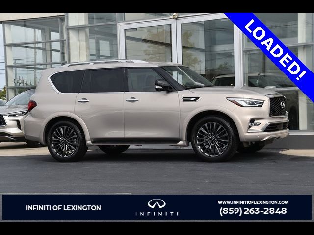 2024 INFINITI QX80 Sensory