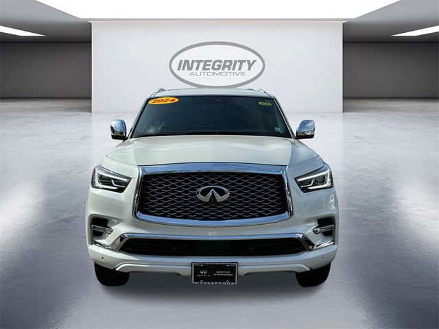 2024 INFINITI QX80 Sensory