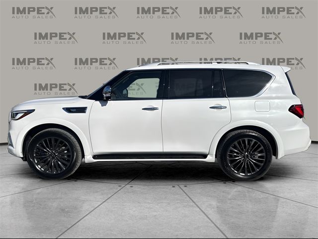 2024 INFINITI QX80 Sensory