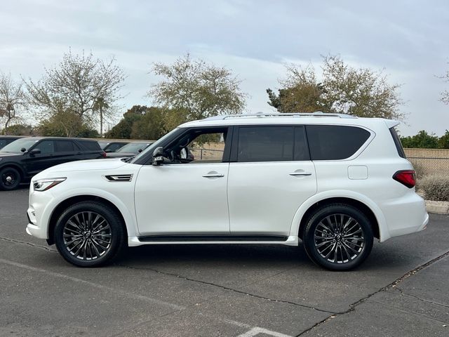 2024 INFINITI QX80 Sensory