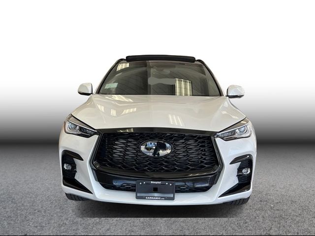 2024 INFINITI QX50 SPORT