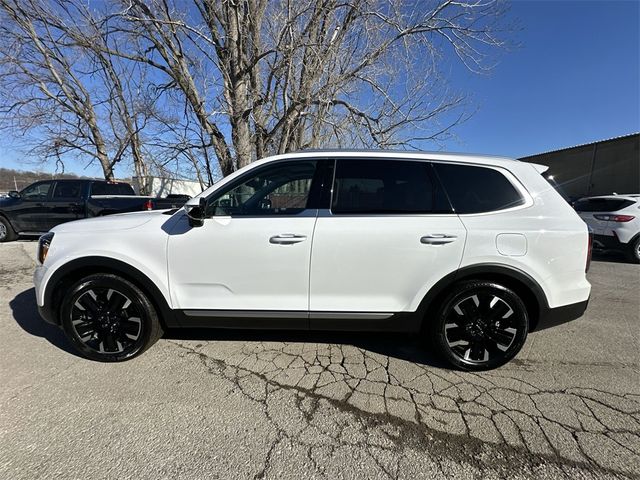 2024 Kia Telluride SX Prestige