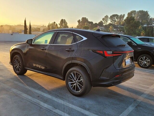 2024 Lexus NX 250