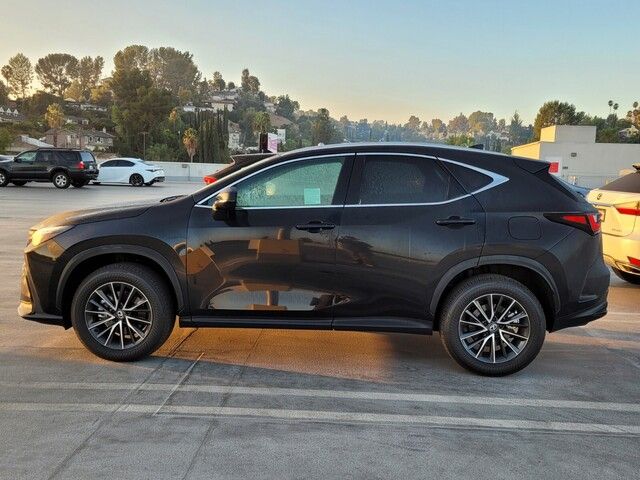 2024 Lexus NX 250