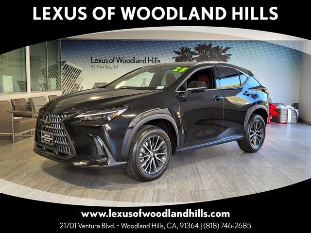 2024 Lexus NX 250