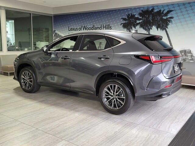 2024 Lexus NX 250