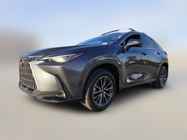 2024 Lexus NX 350